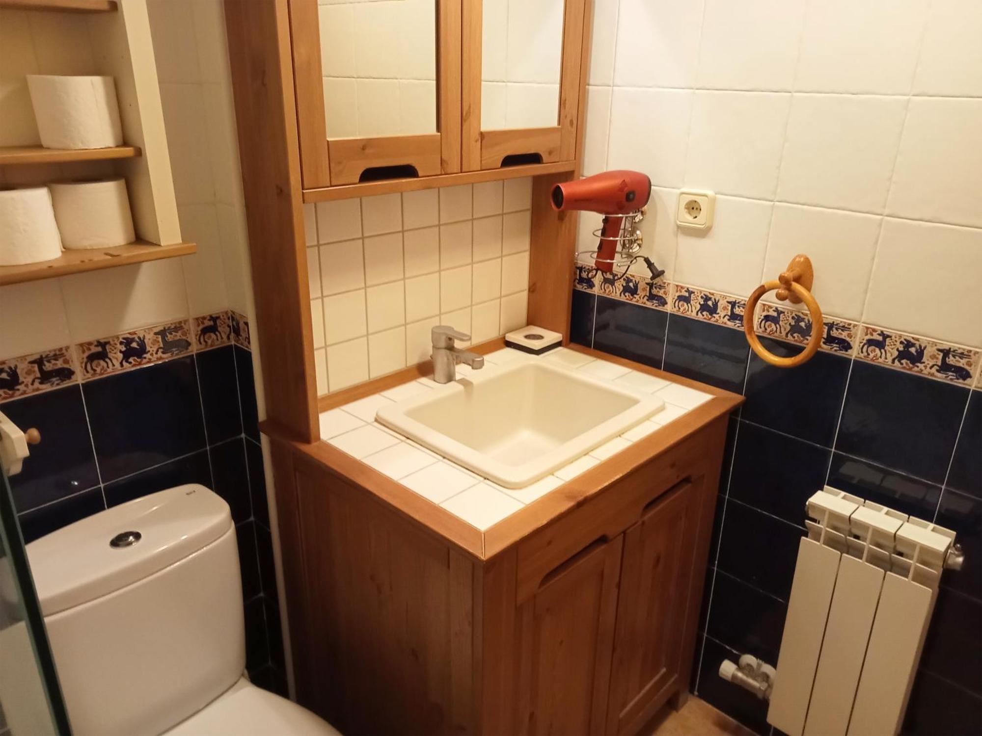 Apartamentos Valle De Tena - Biescas 3000 Kültér fotó